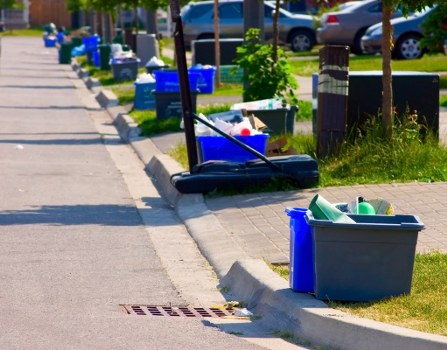 Professional waste disposal team at work